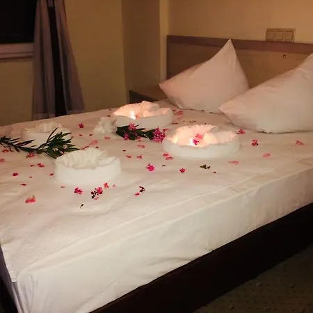 Hotel Mikado 3*